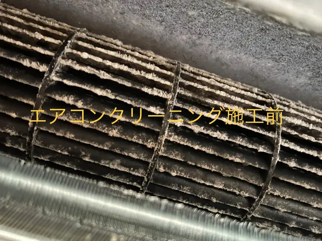 【家庭用ダイキン一方向二方向に特化】【消臭抗菌コート無料】【壁掛けも同時OK】サービスの画像