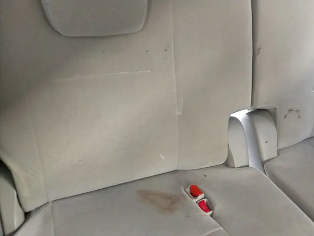 ☆一部のみ清掃もOK☆清掃＋除菌でお子様も安心♬快適カーライフをお手伝い！サービスの画像