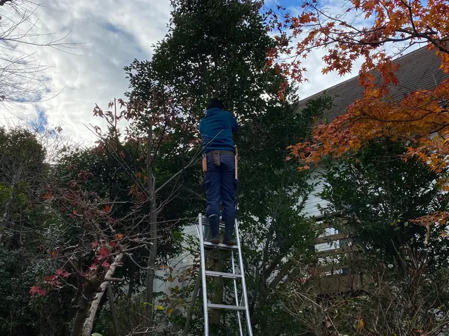 【手つかずのお庭をサッパリと】クレカ対応！！素早く綺麗に作業いたします！サービスの画像