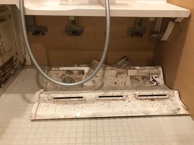 【誰もが知る大手ハウスメーカー複数実績あり】プロが行う浴室クリーニング！サービスの画像