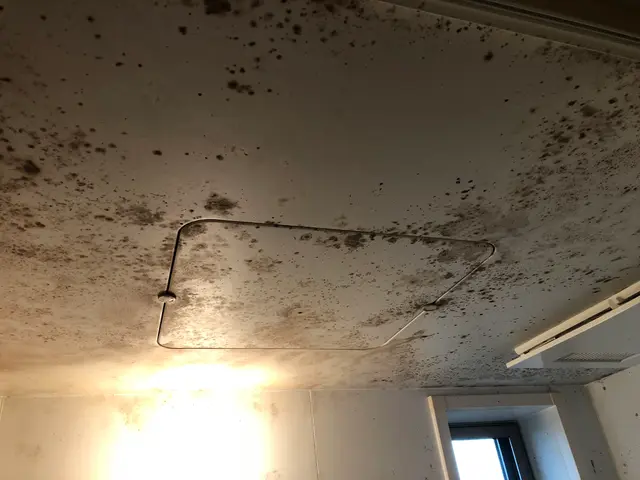 【在室、空室清掃】地域密着◆外注作業なし。すべて自社で対応します！サービスの画像