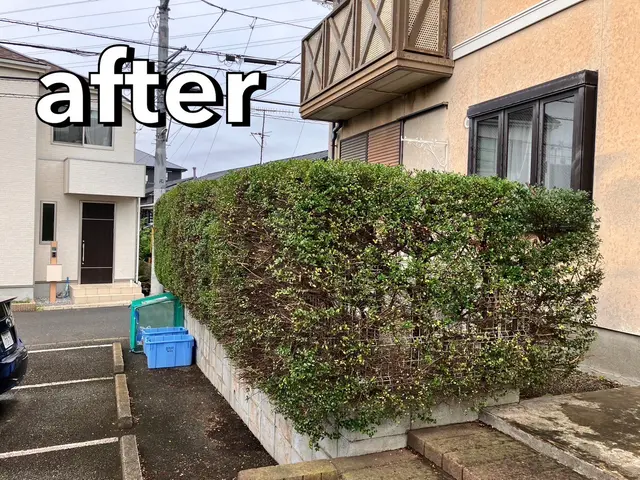 梶山庭苑 ◆植え込み・生垣の剪定◆庭木をきれいに仕上げてみませんか？？サービスの画像