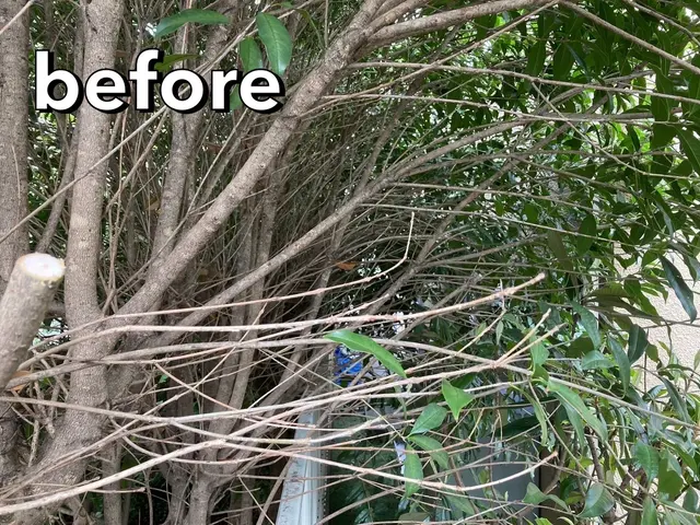 梶山庭苑 ◆植え込み・生垣の剪定◆庭木をきれいに仕上げてみませんか？？サービスの画像