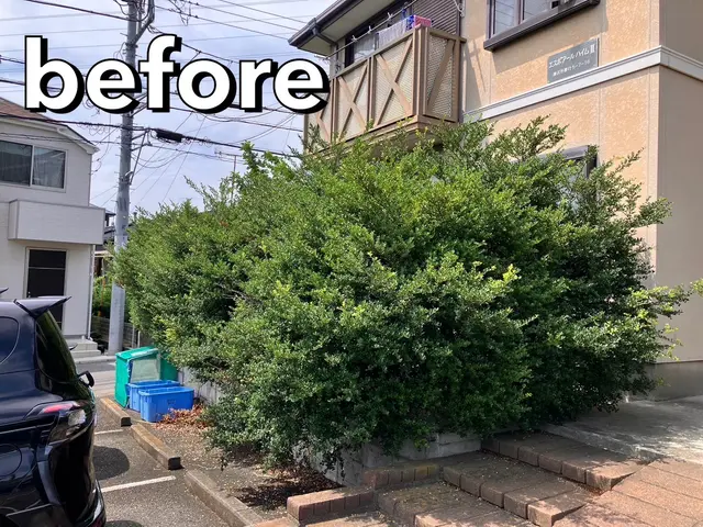 梶山庭苑 ◆植え込み・生垣の剪定◆庭木をきれいに仕上げてみませんか？？サービスの画像