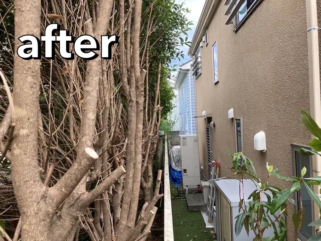 梶山庭苑 ◆植え込み・生垣の剪定◆庭木をきれいに仕上げてみませんか？？サービスの画像