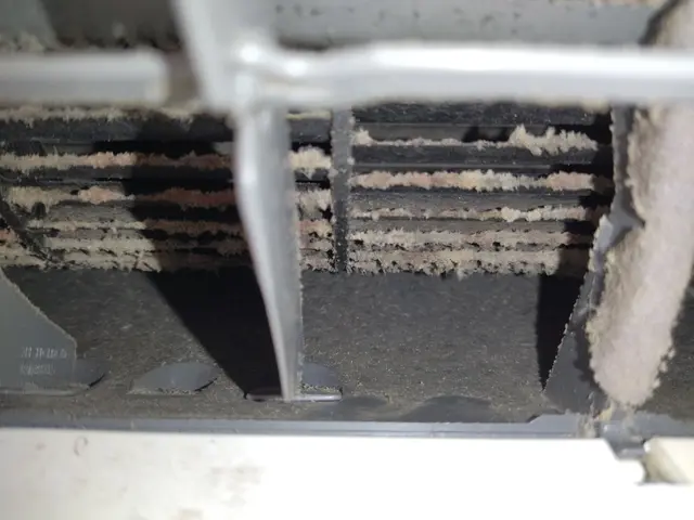 ✦エアコン洗浄専門店✦エアコン内の「カビ汚れ」「油汚れ」「カビ臭」を新品級に改善サービスの画像