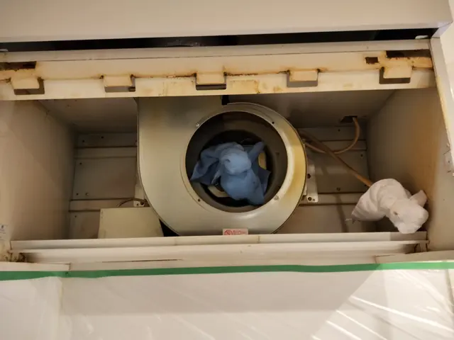 【汚れも匂いも一掃☆】5月空き枠◯頑固な油汚れも徹底的にクリーニング！サービスの画像