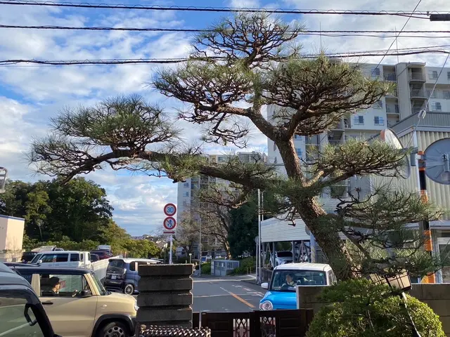 ★新規出店キャンペーン実施中（10%割引）★お問い合わせお待ちしております。サービスの画像