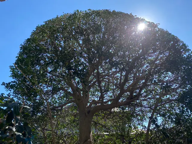 ★新規出店キャンペーン実施中（10%割引）★お問い合わせお待ちしております。サービスの画像