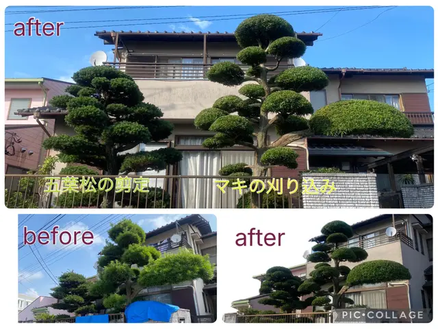 ★新規出店キャンペーン実施中（10%割引）★お問い合わせお待ちしております。サービスの画像