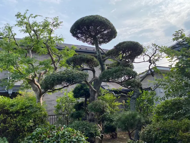 ★新規出店キャンペーン実施中（10%割引）★お問い合わせお待ちしております。サービスの画像