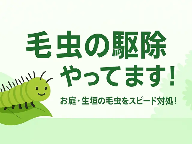 毛虫・チャドクガ駆除／庭木の害虫対策お任せください！サービスの画像