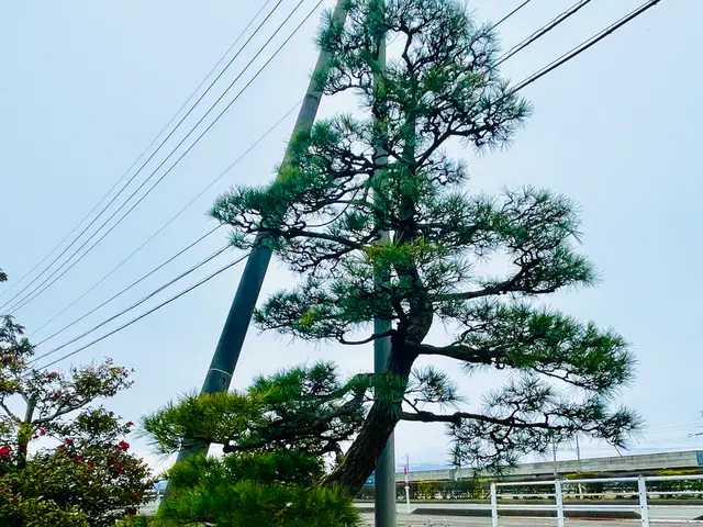 ☆女性店長が心を込めて対応☆一本から気軽にご相談ください！サービスの画像