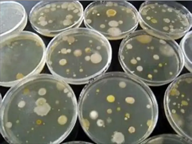 駐車料金無料！見た目より丁寧で安心しと感想を頂いています！お掃除機能は不可です。サービスの画像