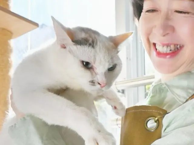 新規出店キャンペーン中！保護猫活動や大手シッターでの豊富な経験あり❣サービスの画像