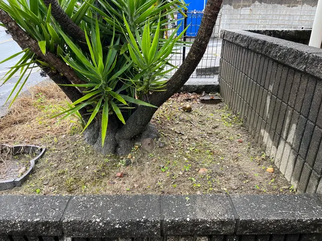 業界歴19年のお花がプロが手作業で草むしりします！サービスの画像