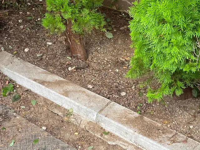 業界歴19年のお花がプロが手作業で草むしりします！サービスの画像