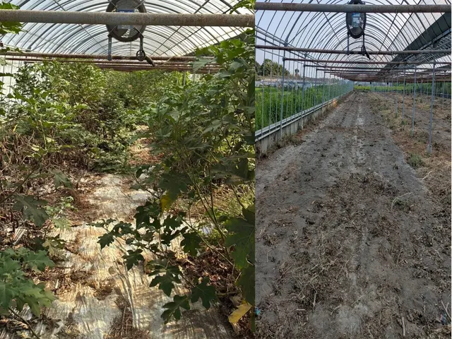 ある程度の斜面も対応！即レス即対応で住宅から法人まで多数実績の安心サービスサービスの画像