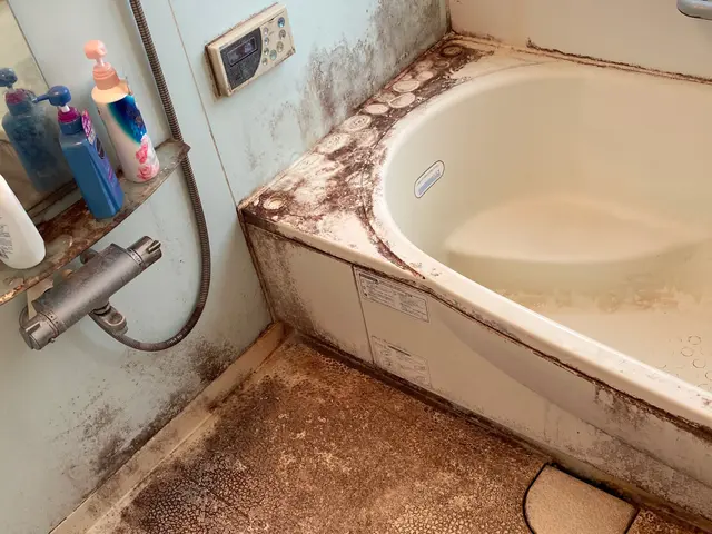 （神奈川県）横浜店、（伊豆南部エリア）伊東店の2拠点で対応！女性スタッフがお伺いサービスの画像