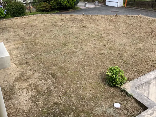 【女性スタッフ同行可能】◎お値段以上！！　見違えるほどキレイに仕上げます！サービスの画像