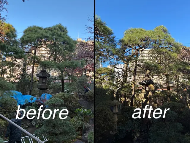 鴻巣市植木屋さん！２児のパパです！【１級造園施工管理技士】ご予約はお早めに！サービスの画像
