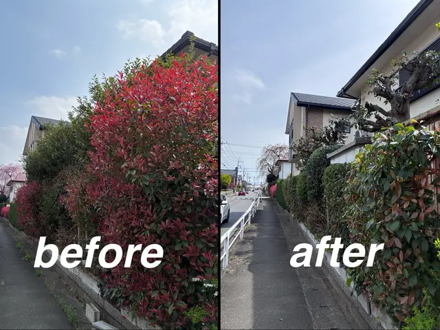 鴻巣市植木屋さん！２児のパパです！【１級造園施工管理技士】ご予約はお早めに！サービスの画像
