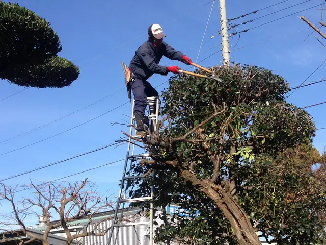 鴻巣の植木屋さん！２児のパパです！国家資格【１級造園施工管理技士】保有サービスの画像