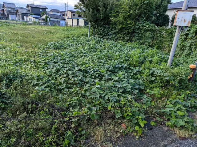 プロの技術でご満足いただけるように心を込めて作業いたします。サービスの画像