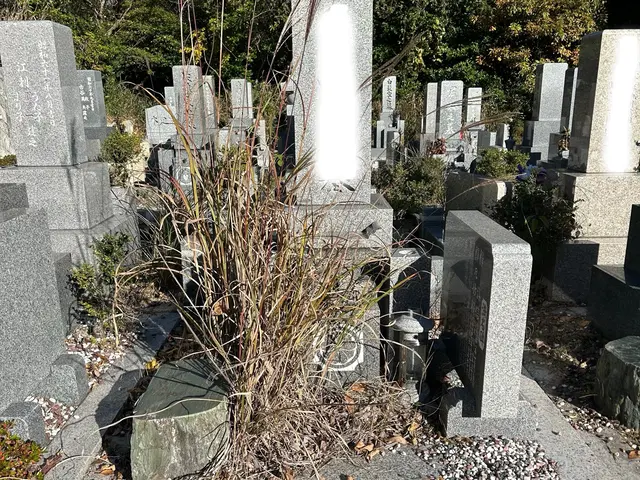 遠方・高齢の方も安心の丁寧なお墓参り代行サービス◇お墓の掃除とお参りを一括代行◇サービスの画像