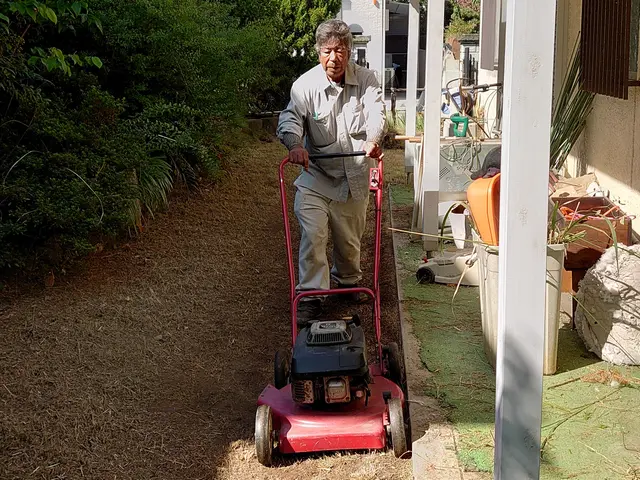 『必ず、綺麗に草刈りさせて頂きます。』サービスの画像