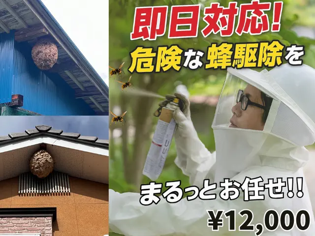 【依頼〜駆除まで迅速対応‼︎】丁寧な蜂の巣駆除で安心と満足をお届けします！サービスの画像