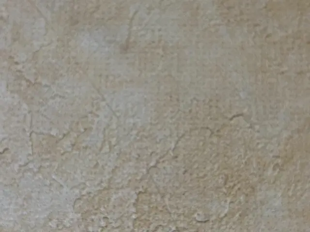 壁紙の穴や凹み、捲れ、傷(ペットの引っ掻き傷など)に対応します！サービスの画像