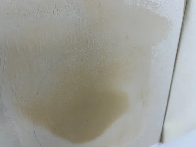 壁紙の穴や凹み、捲れ、傷(ペットの引っ掻き傷など)に対応します！サービスの画像