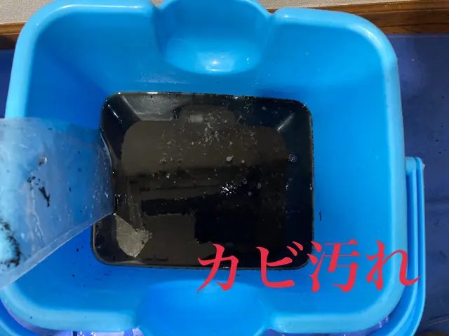 【除菌クリーニング無料】日本エアコンクリーニング協会所属　★分解高圧洗浄★サービスの画像