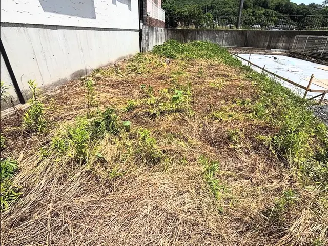 ☆日曜日限定価格☆若い力で解決！芝刈り、お庭　太陽光用地、空家、空地お任せ下さいサービスの画像