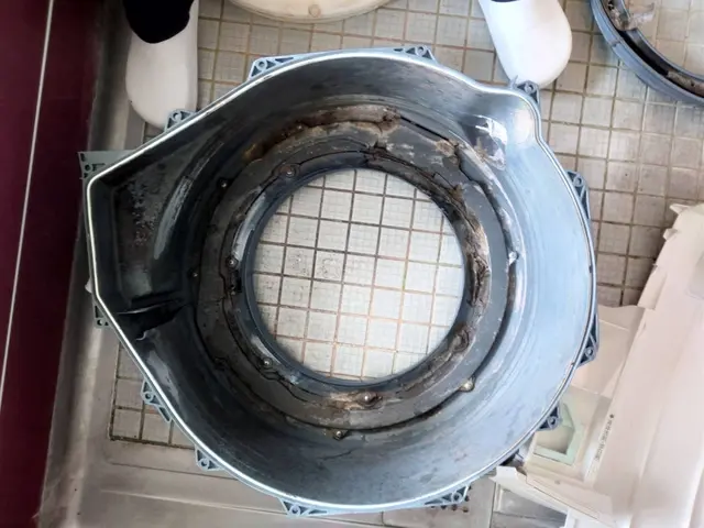 【年末大掃除に最適！ドラム式を徹底リフレッシュ】サービスの画像