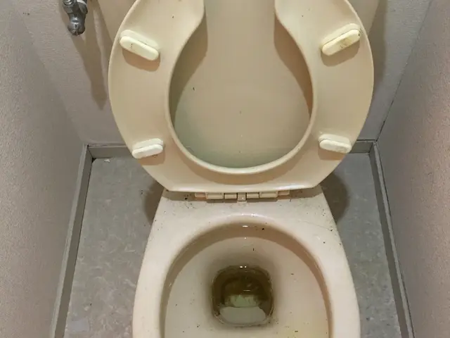 【トイレの臭い・黒ずみしっかり落とします！】◆すべて自社対応！クレカOK！サービスの画像