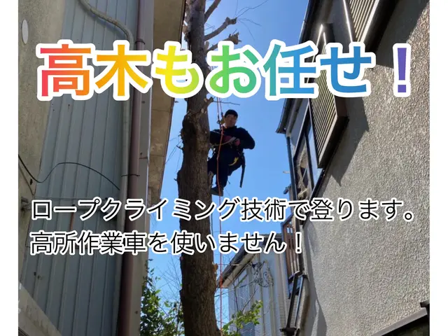 【国内有数の知識と技術】造園技術指導員のプロが施工します。サービスの画像