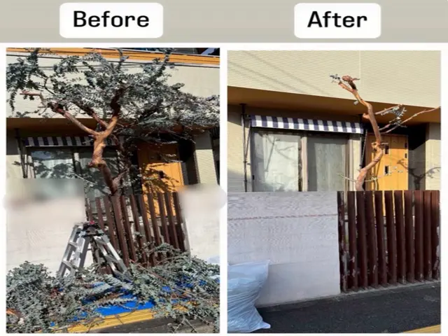 ◎元アスリートのパワフル店長が直接訪問　◎地域密着！お困りのことご相談ください♩サービスの画像