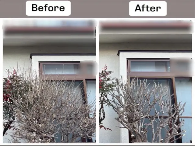 ◎元アスリートのパワフル店長が直接訪問　◎地域密着！お困りのことご相談ください♩サービスの画像