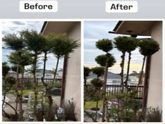 ◎元アスリートのパワフル店長が直接訪問　◎地域密着！お困りのことご相談ください♩サービスの画像