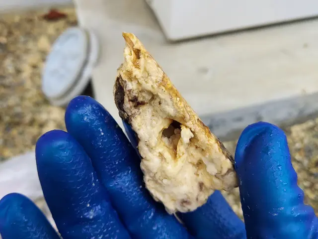 業界実績15年以上！「水漏れ」「つまり」おまかせください！サービスの画像