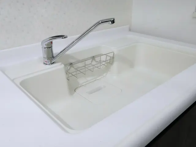水栓蛇口交換 / キッチンサービスの画像