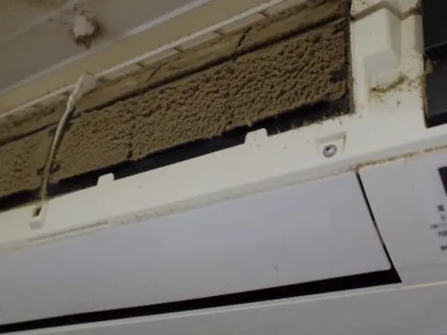 2台目から1台5500円。複数台割引キャンペーン中です！サービスの画像