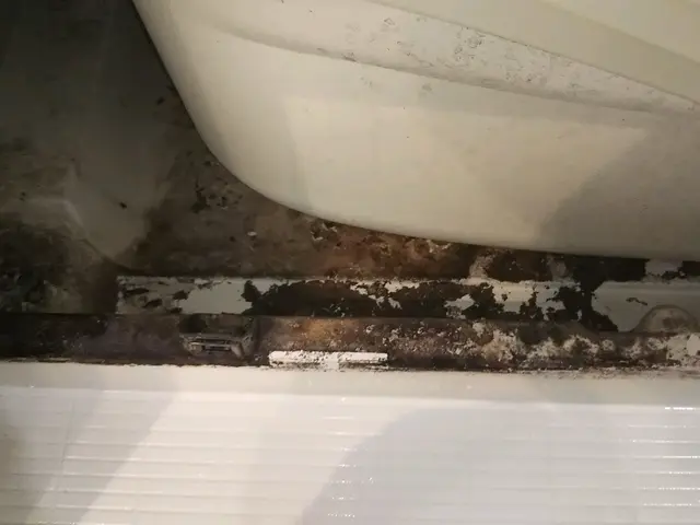 ＜誠実な対応を第一に＞ハウスクリーニング士在籍！女性スタッフ同行もOK！サービスの画像