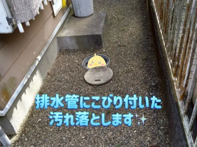 プロが行う配水管洗浄！※ご自宅外周の汚水蓋を開き、配管を洗浄するサービスです。サービスの画像