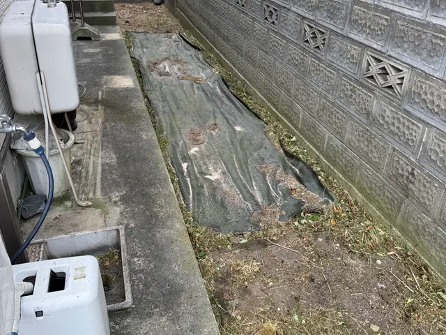 面倒な草取り、お任せ下さい◎手取り除草やります！サービスの画像