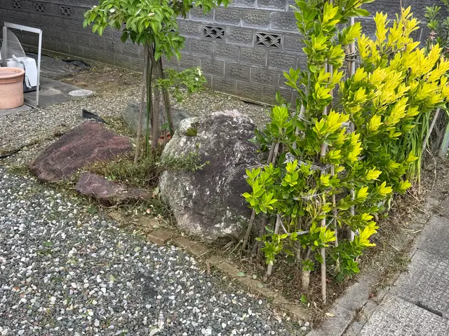 面倒な草取り、お任せ下さい◎手取り除草やります！サービスの画像