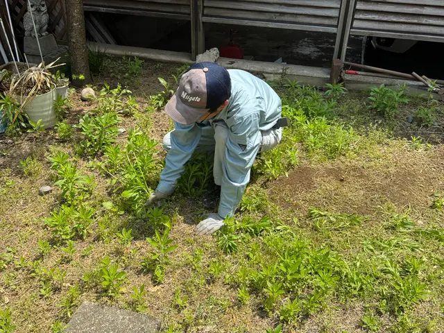 面倒な草取り、お任せ下さい◎手取り除草やります！サービスの画像