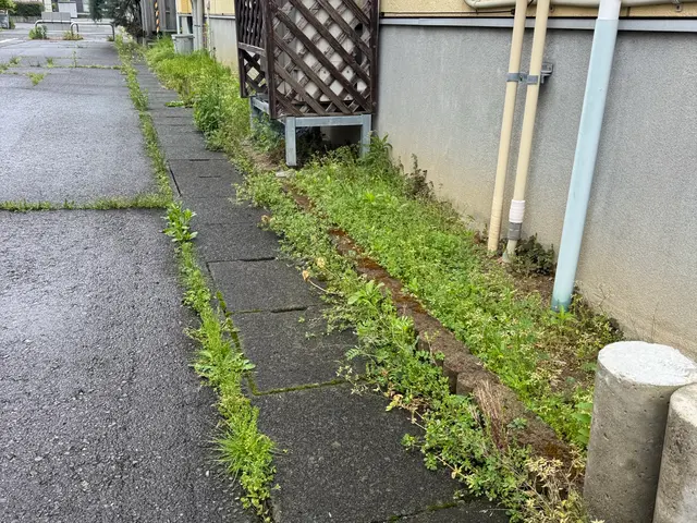 面倒な草取り、お任せ下さい◎手取り除草やります！サービスの画像